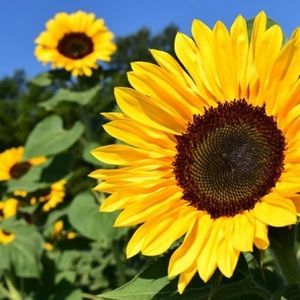 Meet your Posher, Bekah